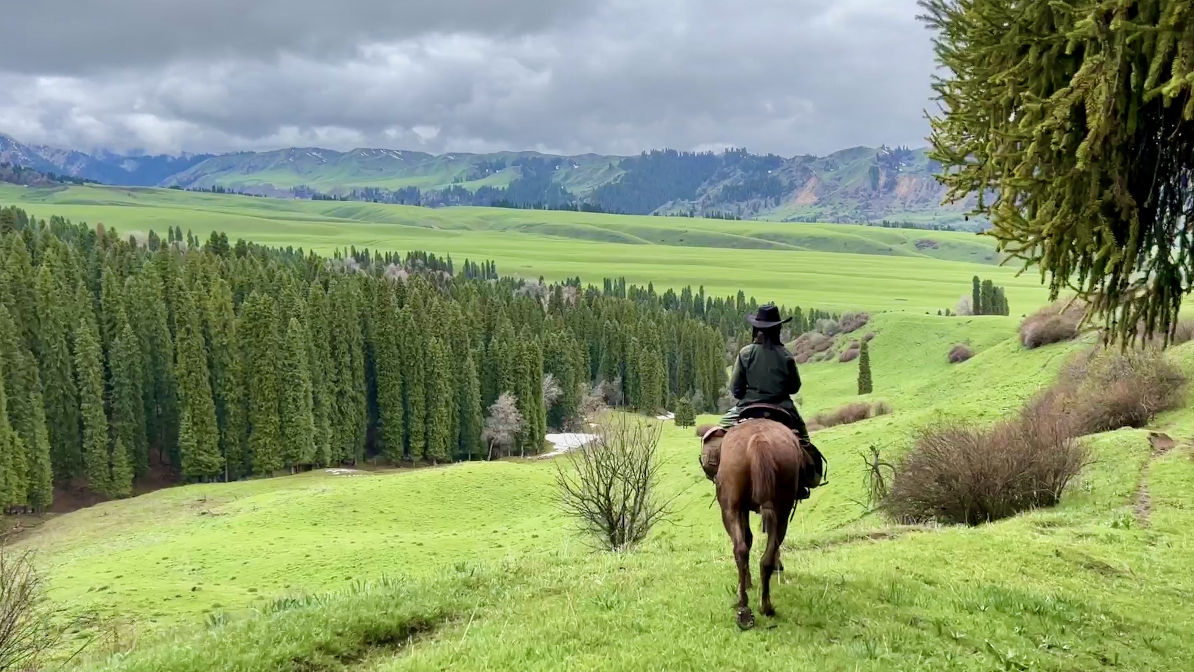 IMG_2496.JPG IMG_2496.JPG