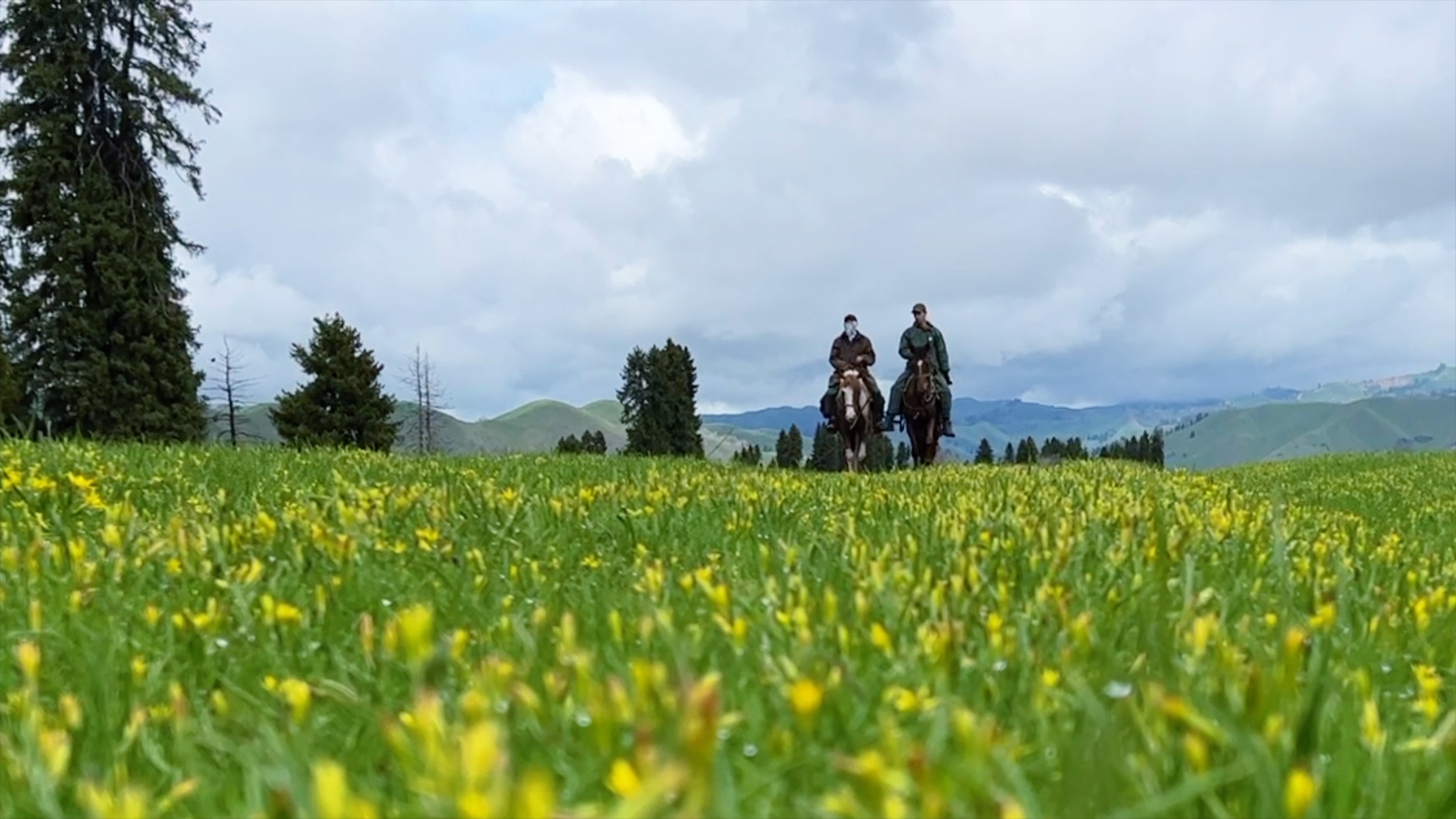 花海骑行.jpg 花海骑行.jpg