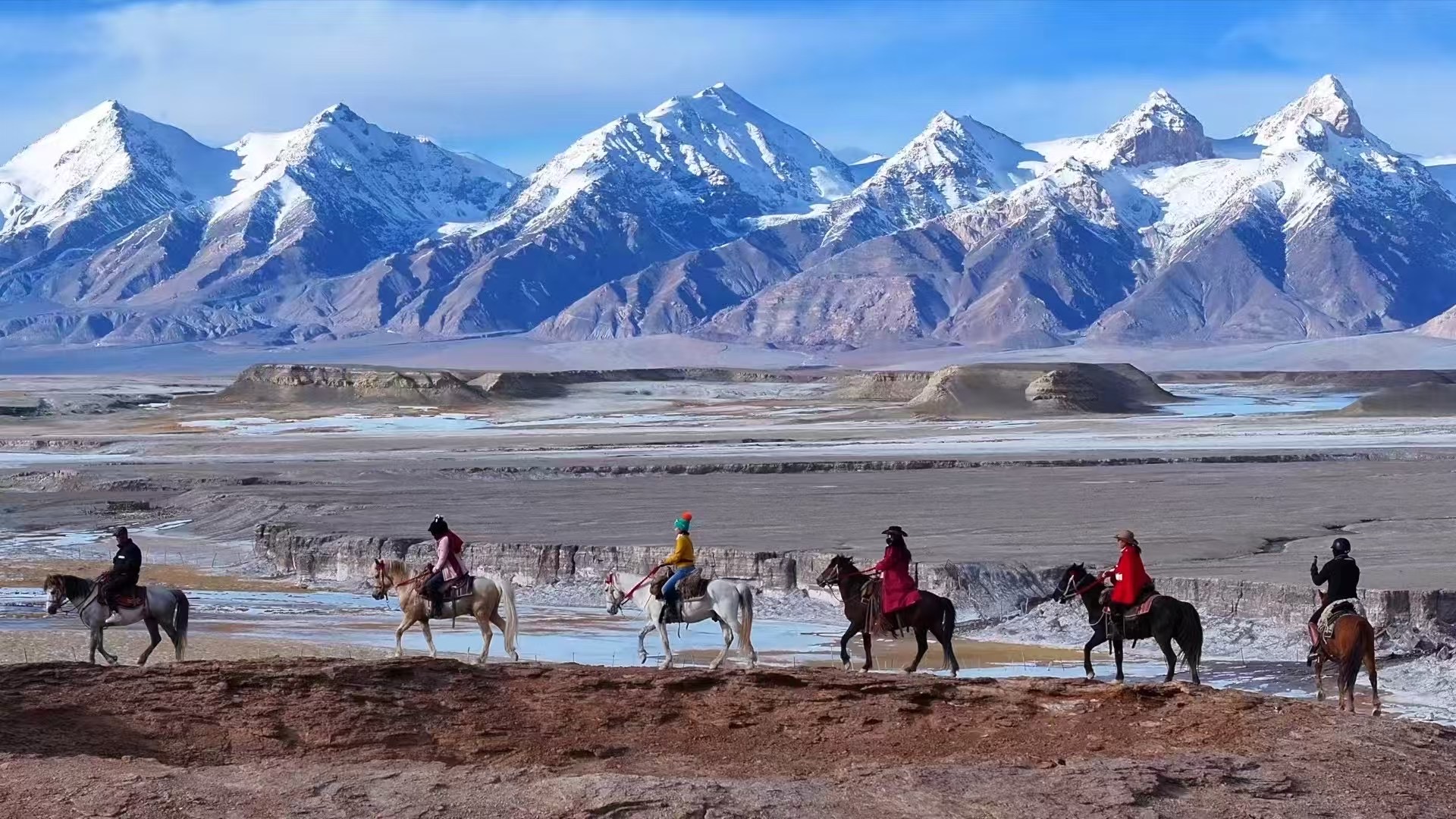 IMG_9116.JPG IMG_9116.JPG